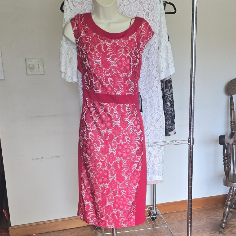 Jax Pink Midi Sheath Dress with Cap Raglan Sleeves